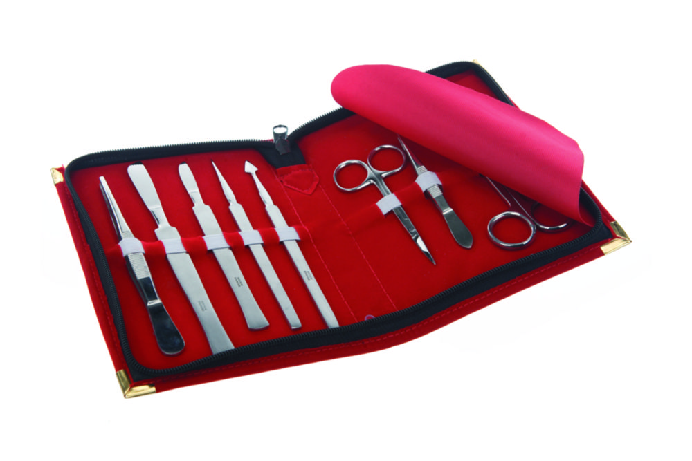 Dissecting Set, 8 pieces, stainless steel