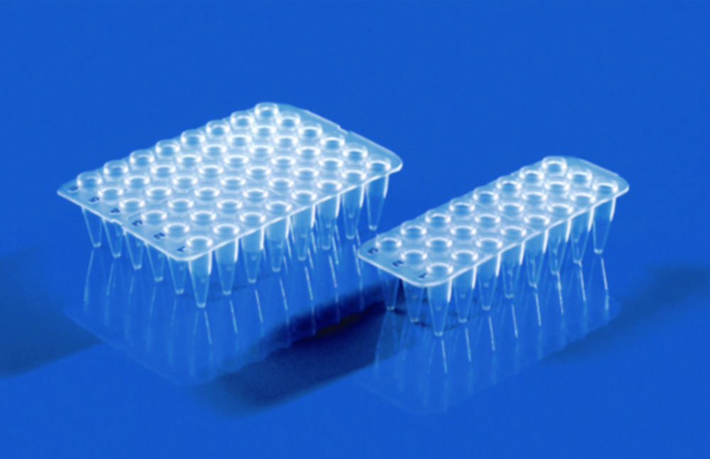 24/48-well PCR plates, non-skirted, PP