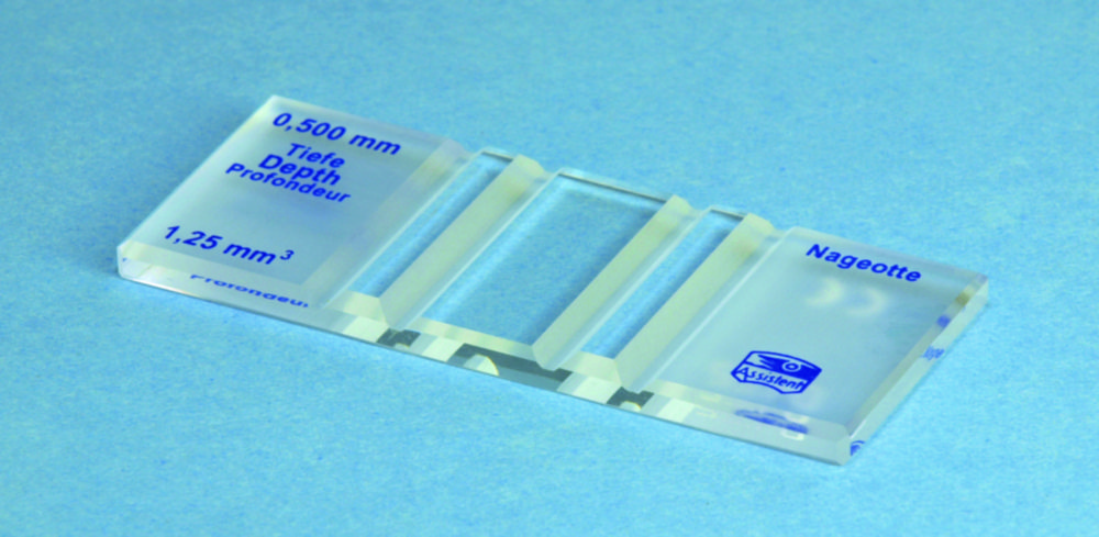 Counting Chambers according to Nageotte