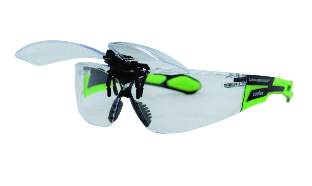 Preconnected Reading Spectacles with Clamp Holder