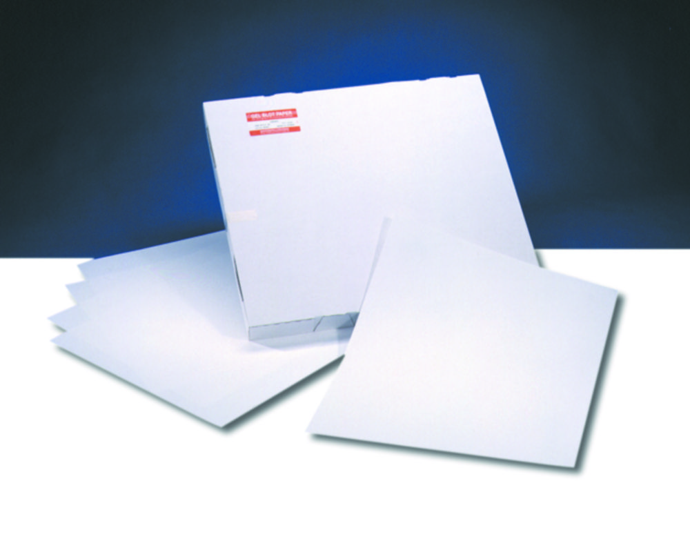Gel blotting paper