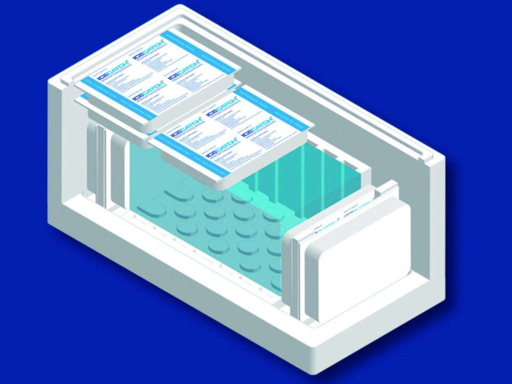 System packaging Icecatch®, EPS
