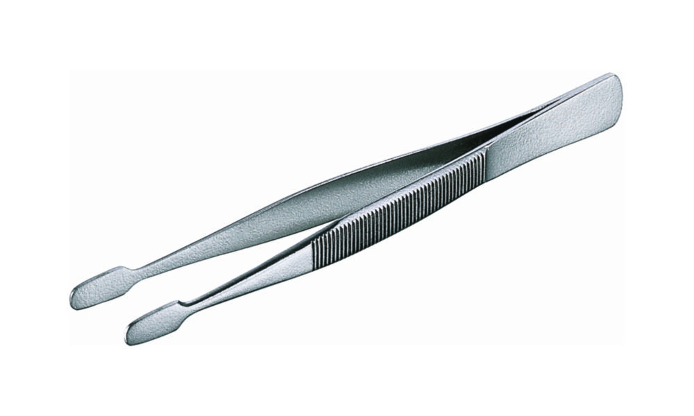 Cover glass forceps, Nickel plated steel