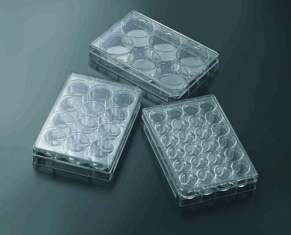3D Cell culture plates CellSCAFLD®, treated, PS, sterile