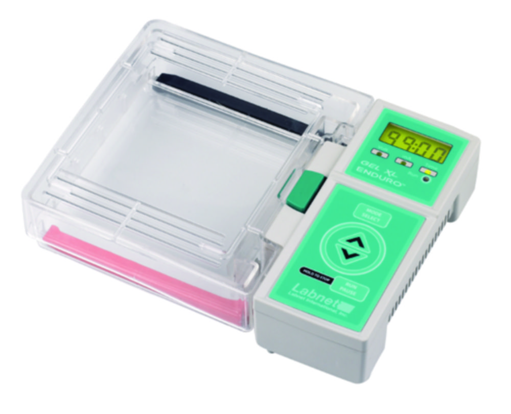 Electrophoresis System Enduro™ Gel XL