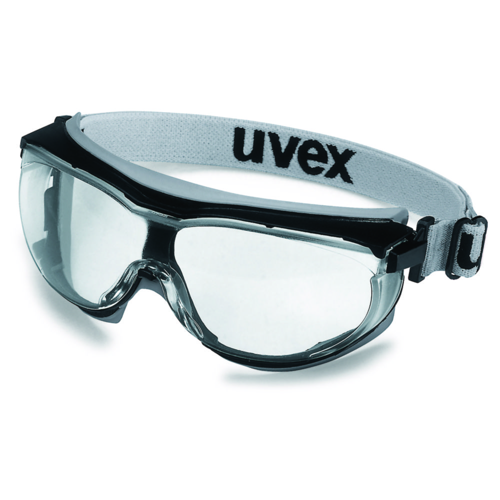Panoramic Eyeshield uvex carbonvision 9307