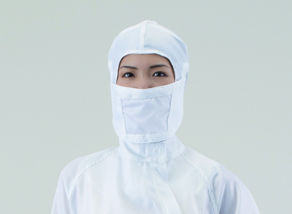 Hood for cleanroom