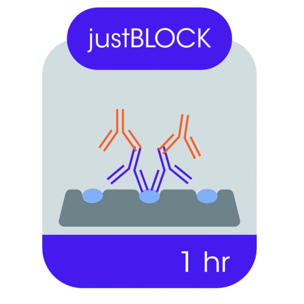 Blocking solution for Western blot