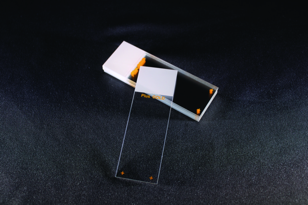 Adhesive microscope slides Superfrost® Plus Gold