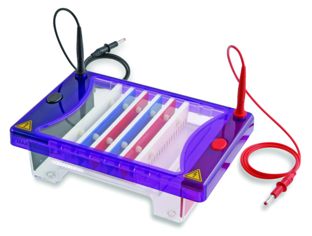 Gel electrophoresis tank MultiSUB Choice