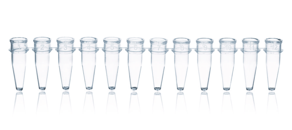 PCR tubes strips of 12, PP, without caps