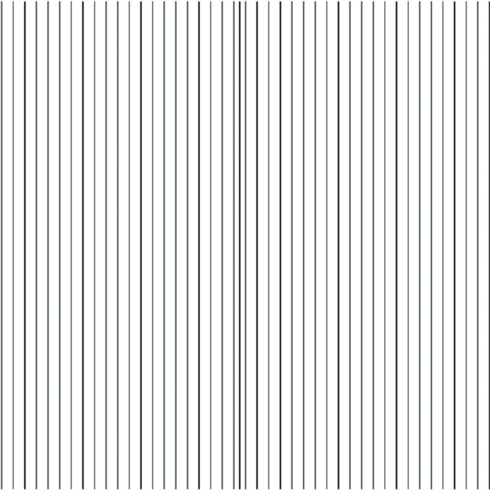 Counting Chamber, Nageotte