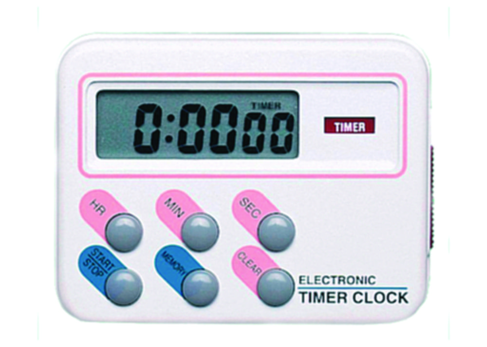 Electronic timer clock
