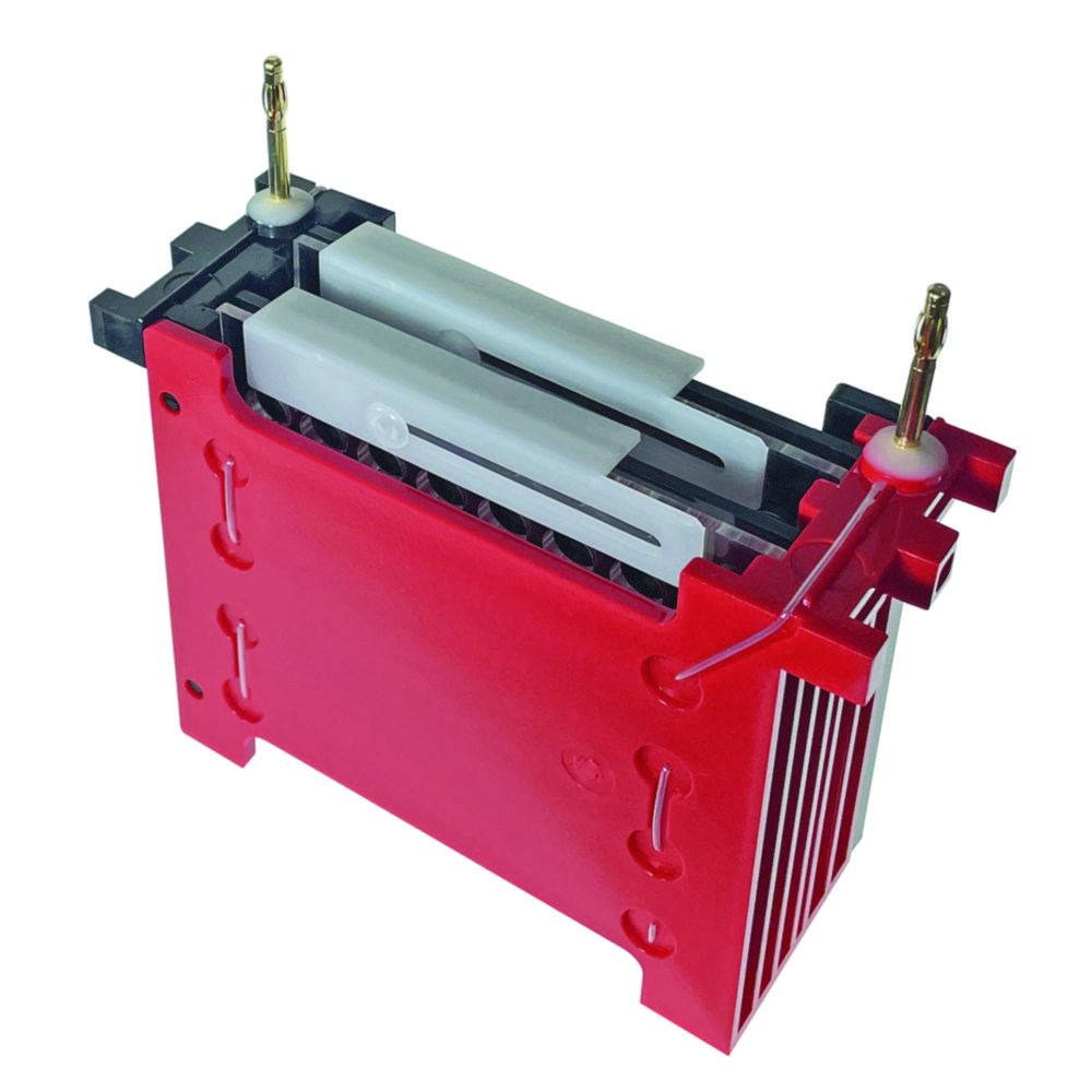 Blotting system miniBLOT for electrophoresis tank proPAGE