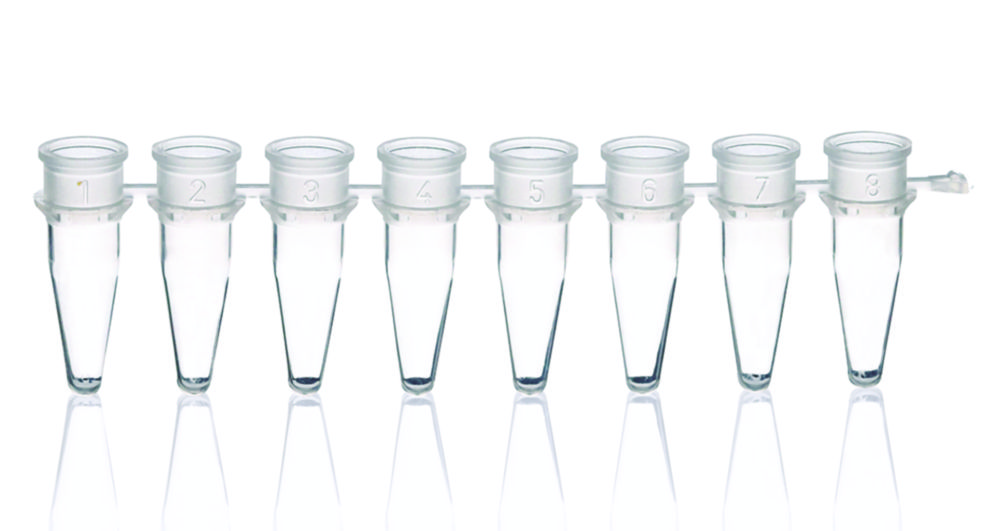 PCR tubes strips of 8, PP, without caps