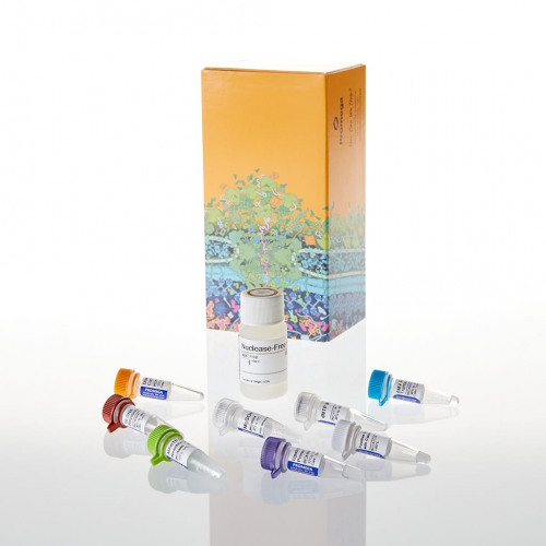 Access RT-PCR System