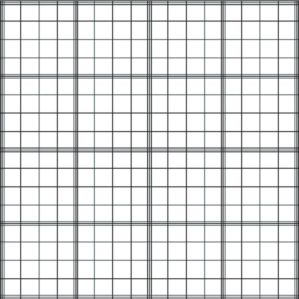Counting Chamber, Fuchs-Rosenthal