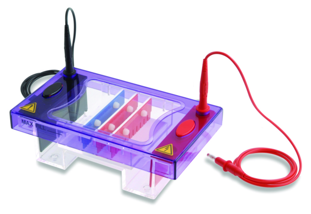 Gel electrophoresis tank MultiSUB Midi