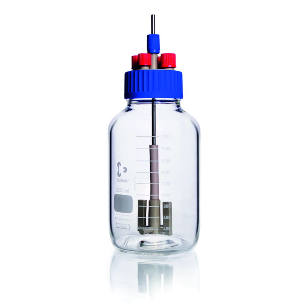 GLS 80® Stirred Reactor