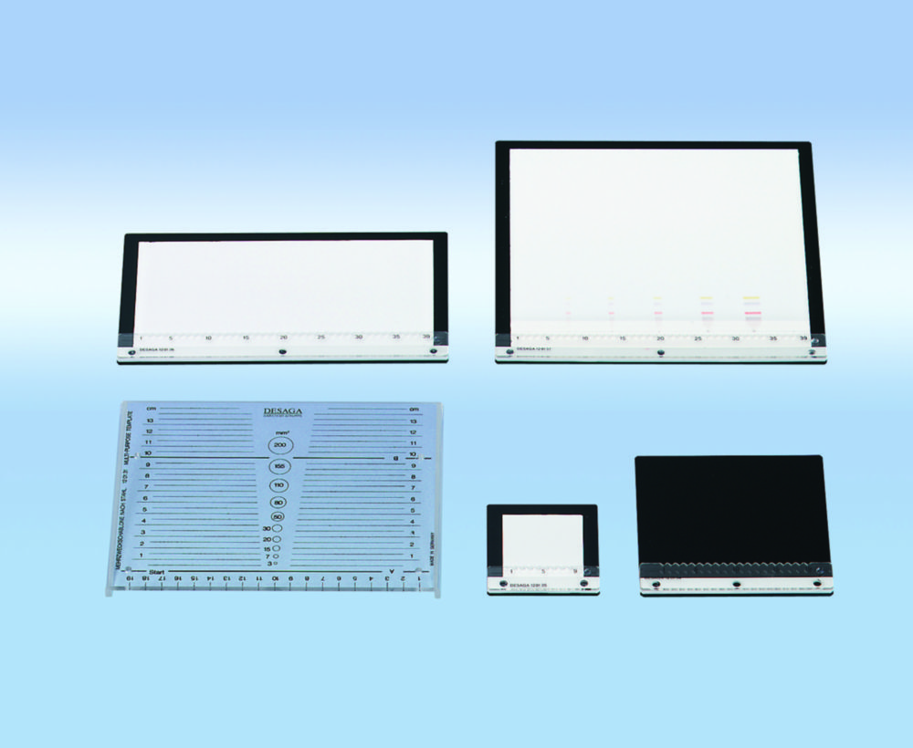 Universal application and evaluation template