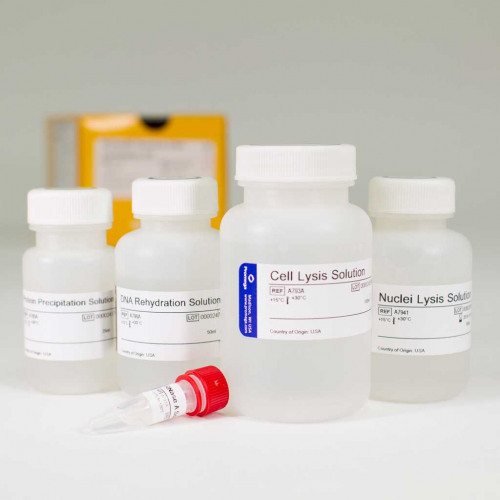 Wizard Genomic DNA Purification Kit