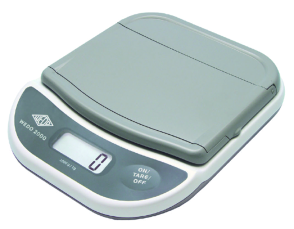 Electronic letter scale